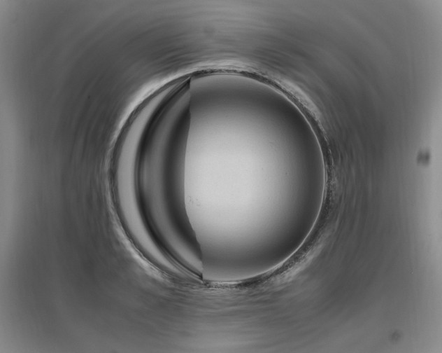X0000097460989200802221209