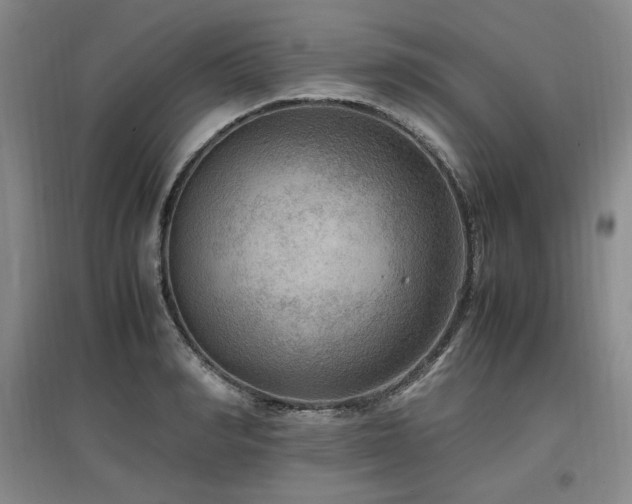 X0000097460990200802221209