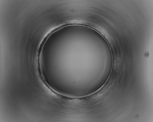 X0000097460992200802221209