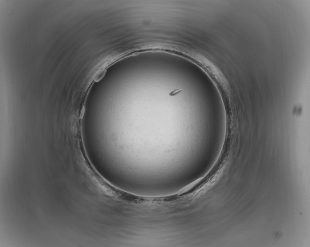 X0000097460993200802221209