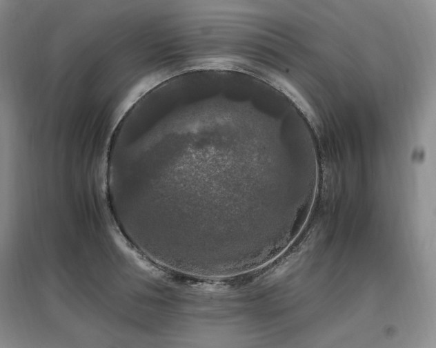 X0000097460994200802221209