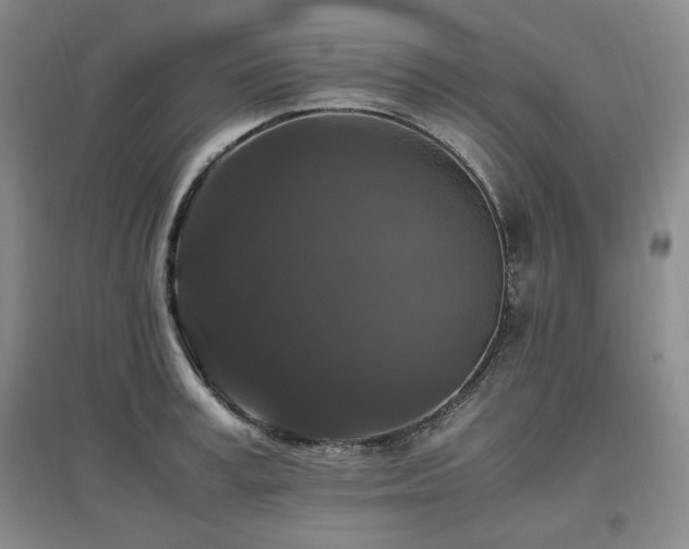 X0000097460995200802221209