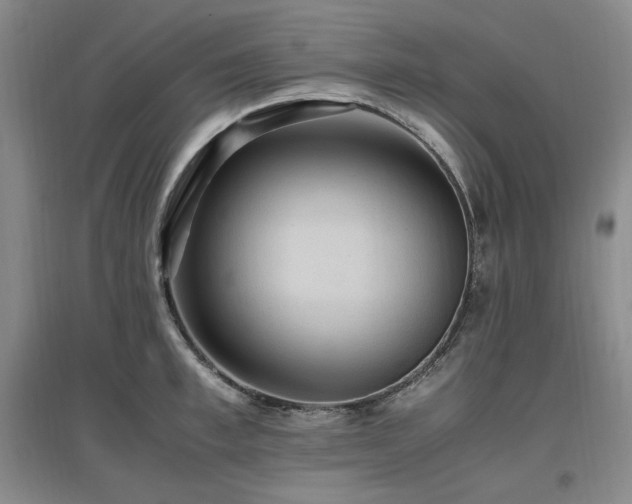 X0000097460997200802221209