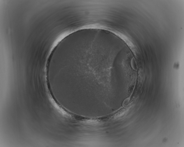 X0000097460998200802221209