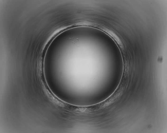 X0000097461000200802221209