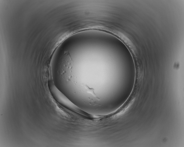 X0000097461001200802221209