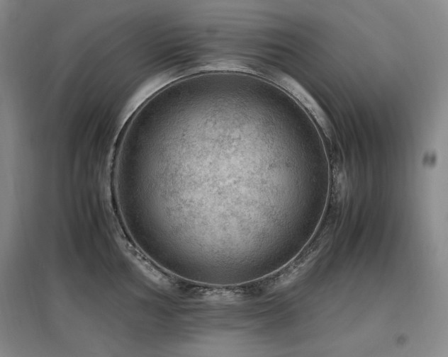 X0000097461002200802221208