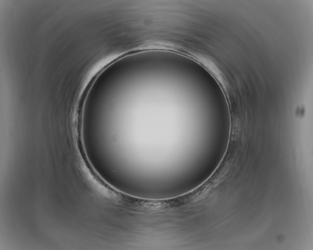 X0000097461003200802221208