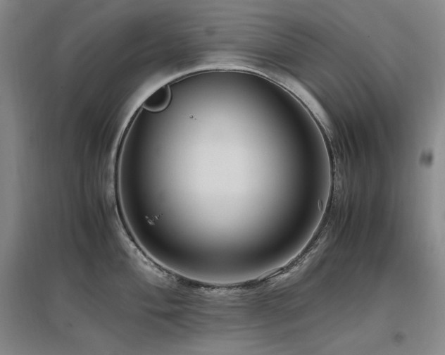 X0000097461004200802221208