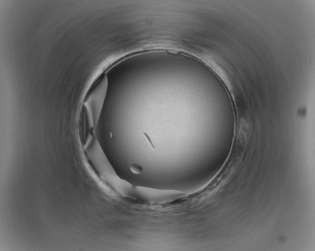 X0000097461005200802221208