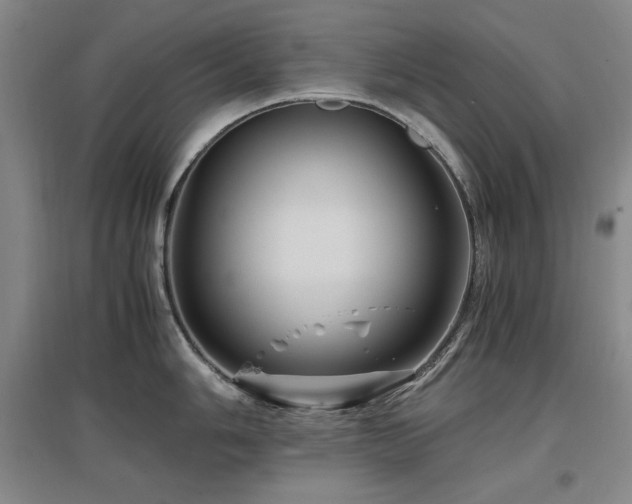 X0000097461006200802221208