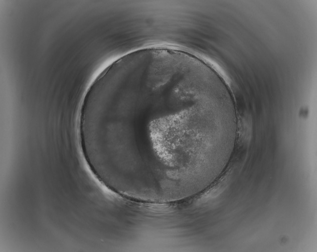X0000097461007200802221208