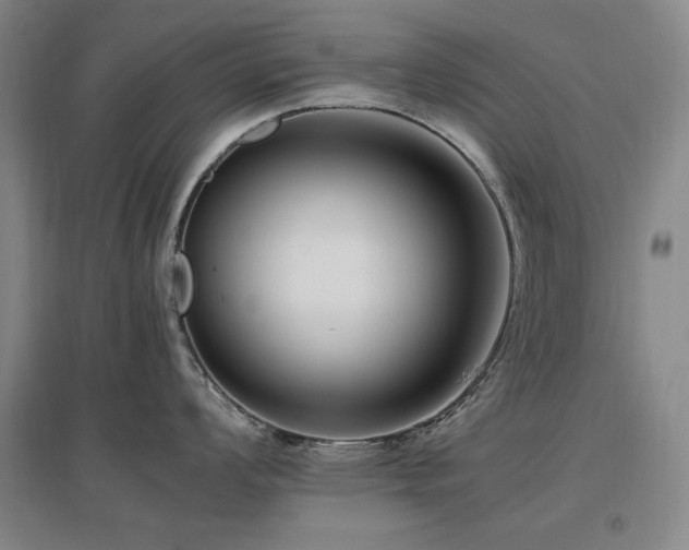 X0000097461008200802221208