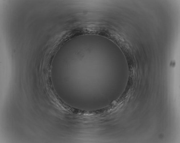 X0000097461009200802221208