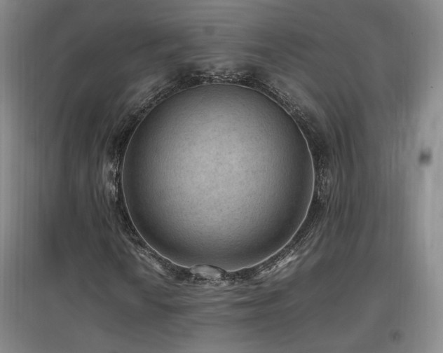 X0000097461010200802221208