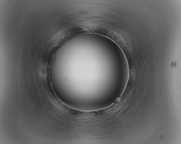 X0000097461012200802221208