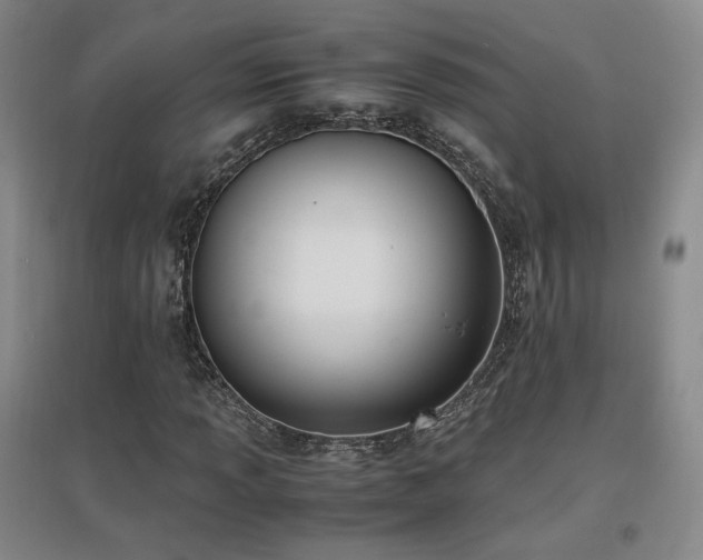 X0000097461013200802221208