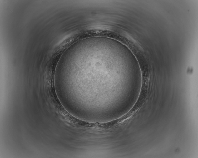 X0000097461014200802221208