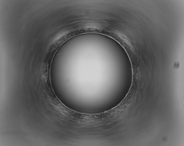 X0000097461015200802221208