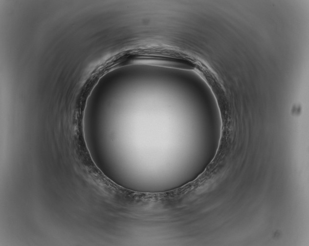 X0000097461016200802221208