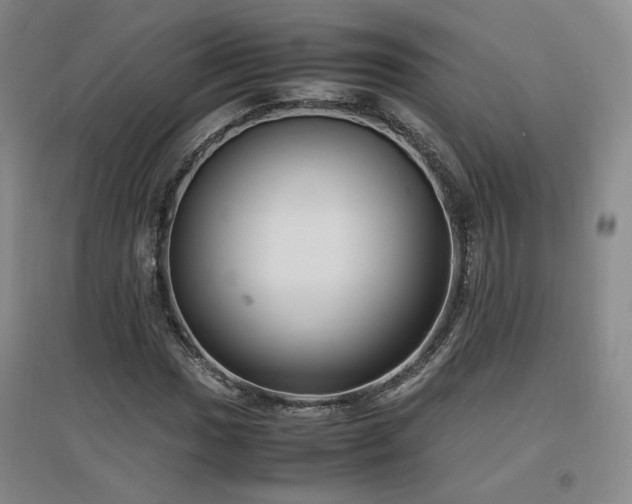 X0000097461017200802221208