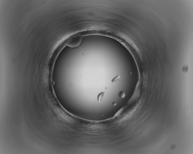 X0000097461021200802221208