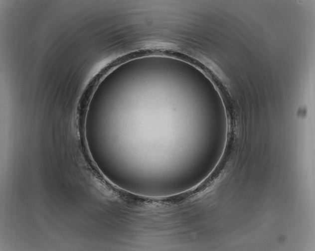 X0000097461022200802221208