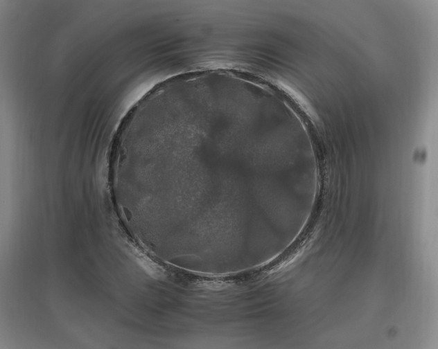 X0000097461023200802221208
