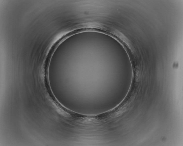 X0000097461024200802221208