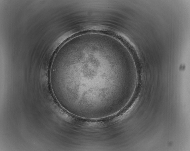 X0000097461025200802221208