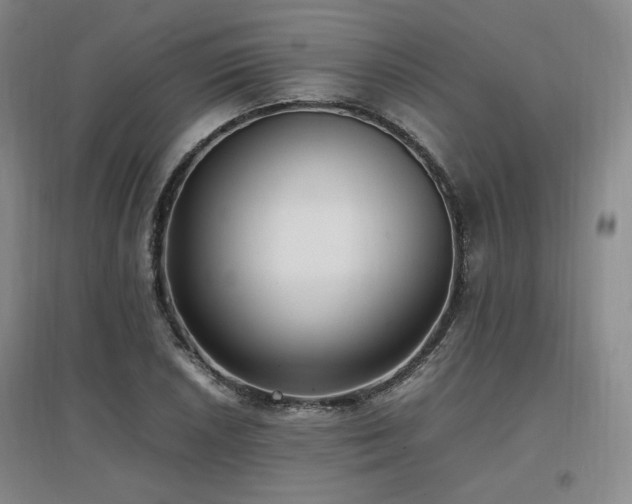 X0000097461026200802221208