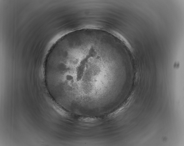 X0000097461027200802221208