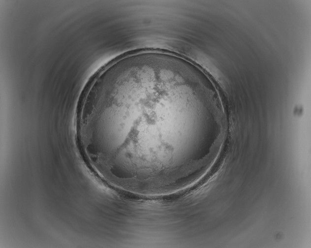 X0000097461028200802221208
