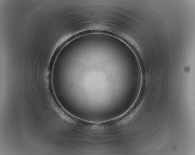 X0000097461029200802221208