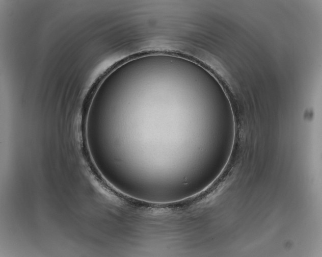 X0000097461030200802221208