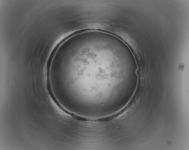 X0000097461032200802221208