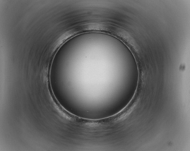X0000097461033200802221208