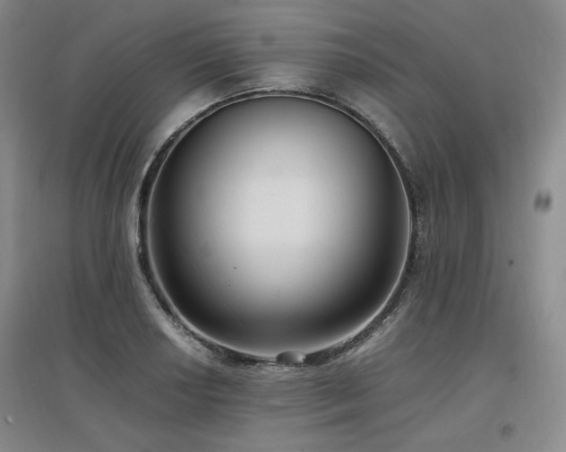 X0000097461034200802221208