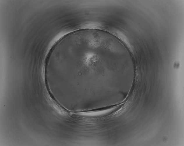 X0000097461035200802221208