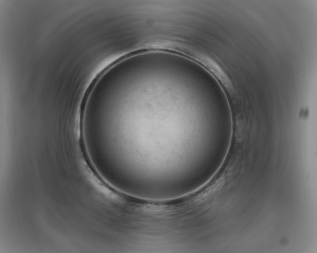 X0000097461036200802221208