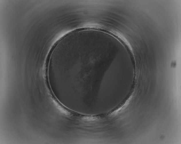 X0000097461037200802221208