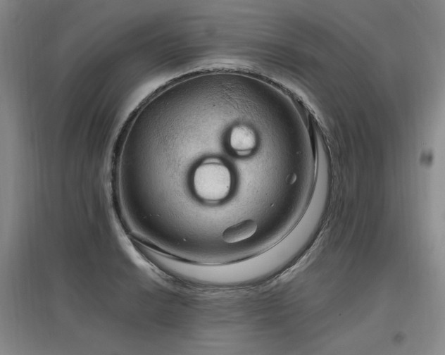 X0000097461038200802221208