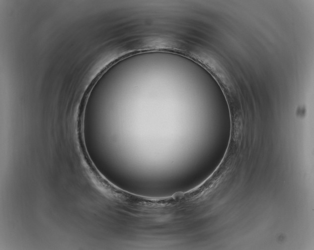 X0000097461039200802221208