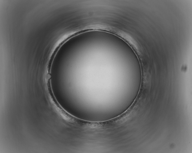 X0000097461040200802221208