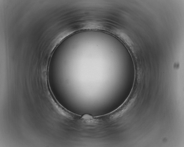X0000097461041200802221208