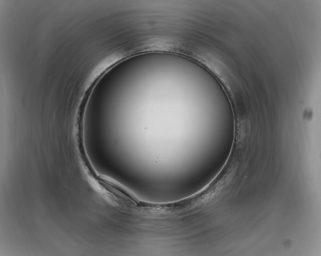 X0000097461042200802221208