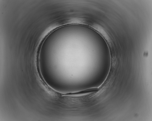 X0000097461043200802221208