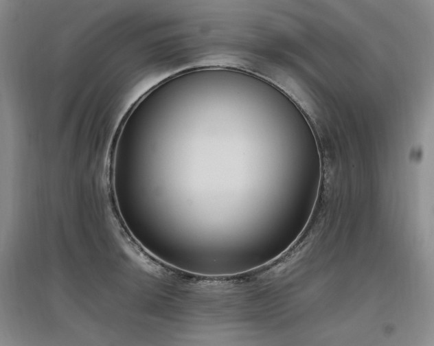 X0000097461044200802221208