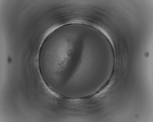 X0000097461045200802221208