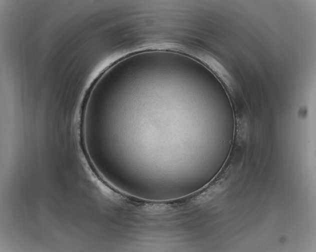 X0000097461046200802221208